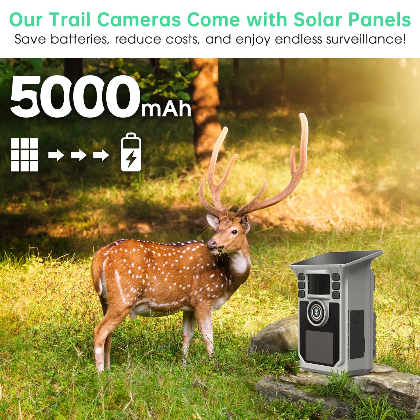 4K Solar Trail Camera 48MP WiFi Night Vision Motion Activated