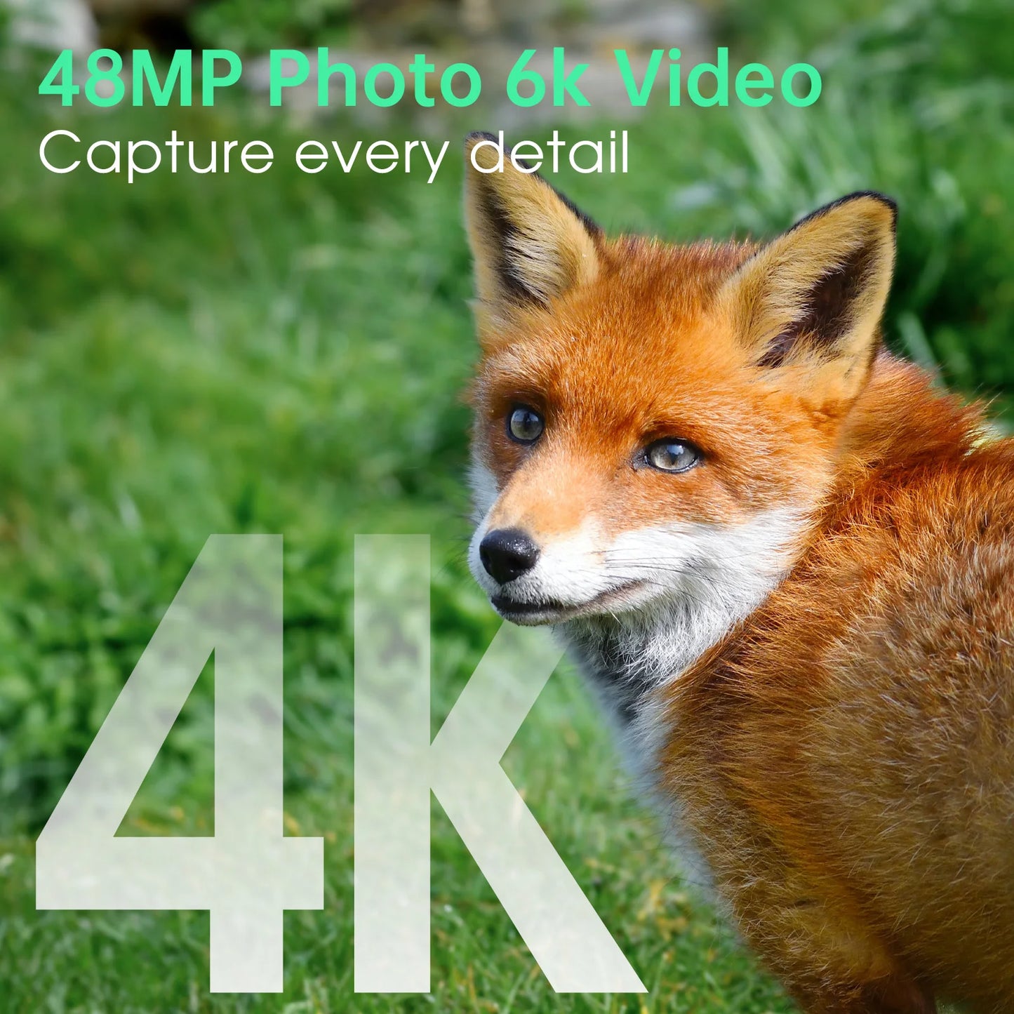 4K Solar Trail Camera 48MP WiFi Night Vision Motion Activated