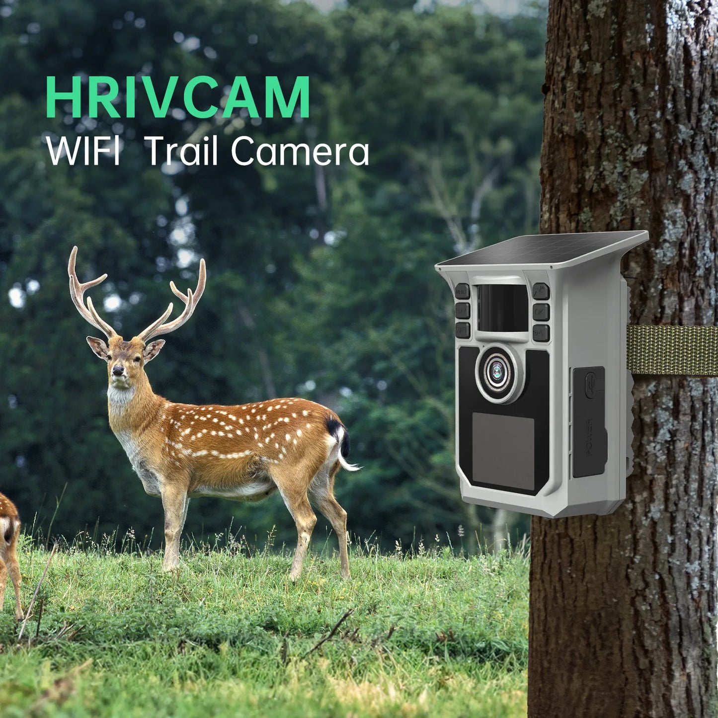 4K Solar Trail Camera 48MP WiFi Night Vision Motion Activated