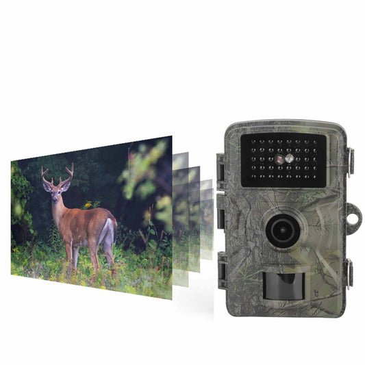 Zk40 1080P Infrared Night Vision Wildlife Trail Camera