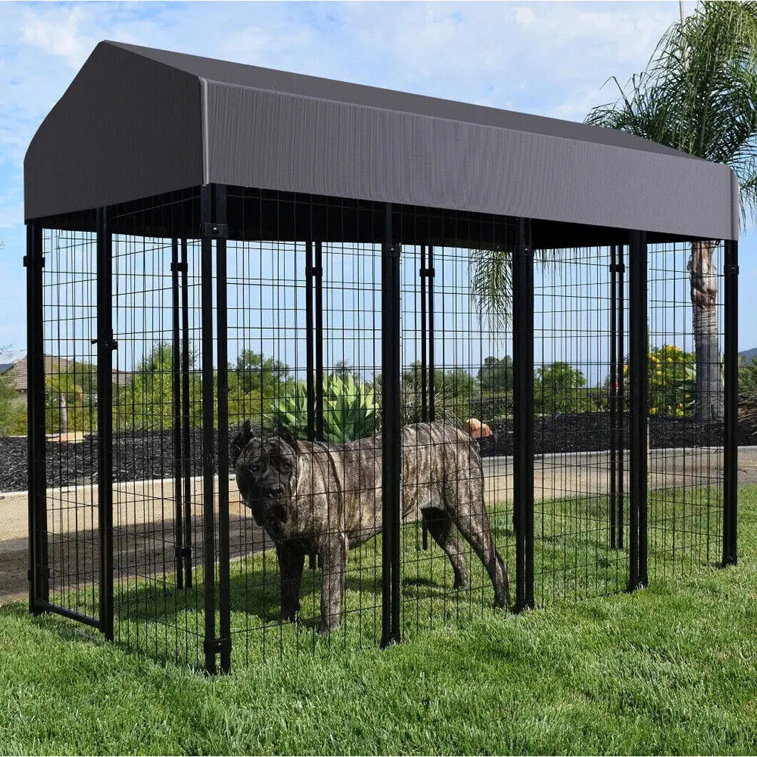 Outdoor Dog Kennel Enclosure With Roof And Secure Playpen