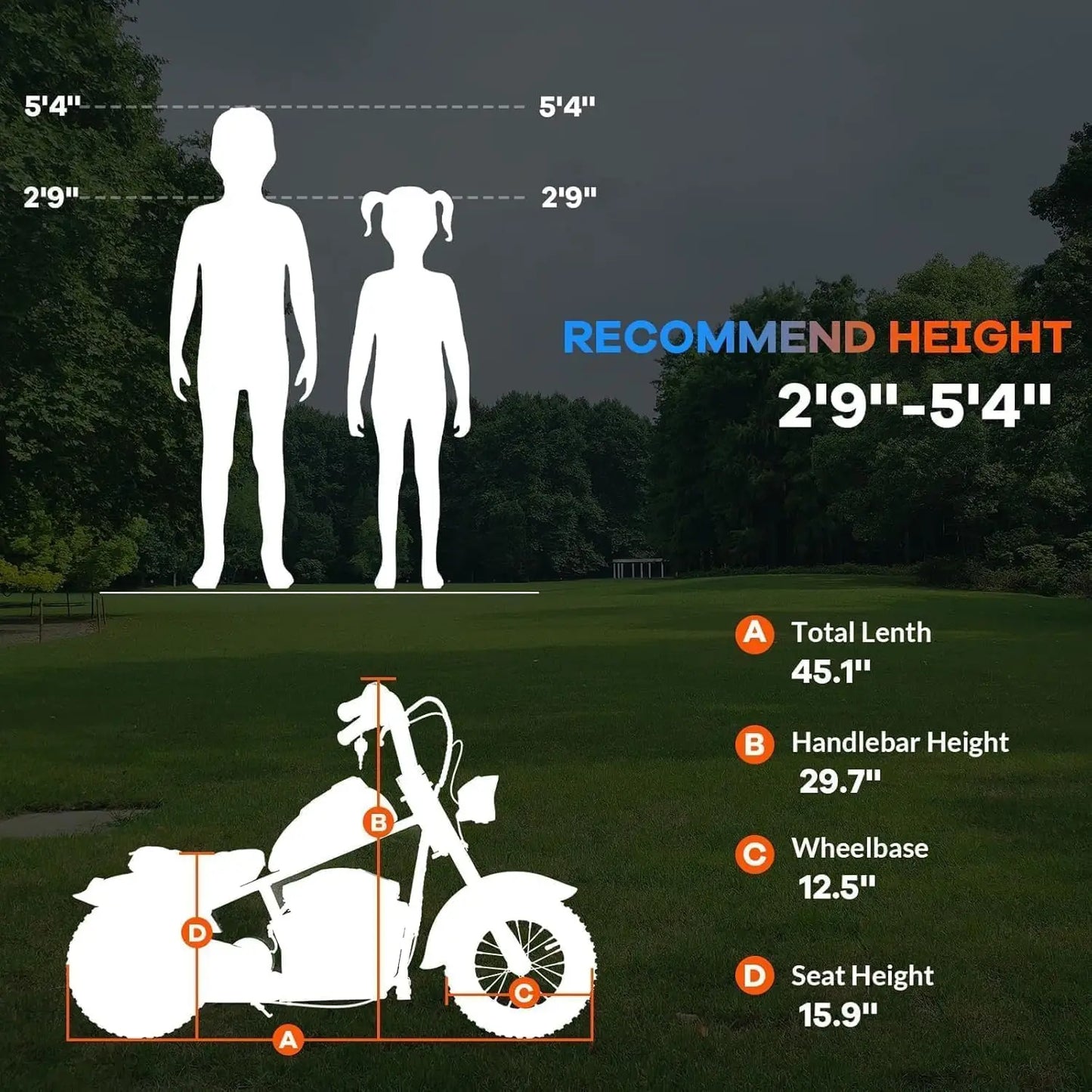 HiMISS Kids Electric Dirt Bike 24V 250W Two Speed Offroad