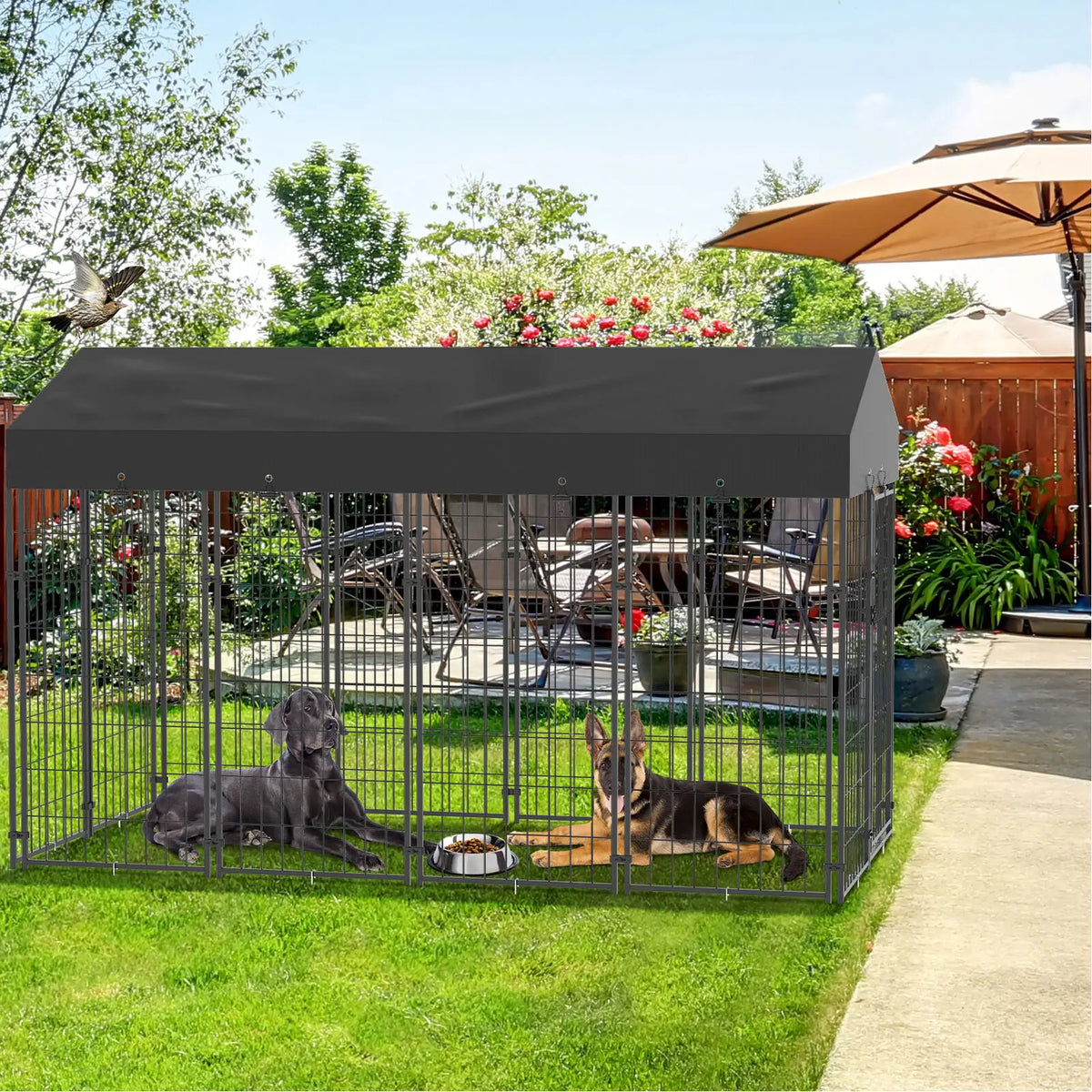Outdoor Dog Kennel Enclosure With Roof And Secure Playpen